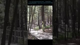 путешествие по живописным местам Наймановского источника