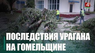 Попытались оценить ущерб от урагана на Гомельщине