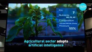 Agricultural sector adopts artificial intelligence to help with farming