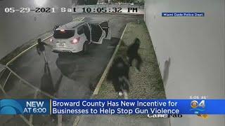 Renewed Push In Broward County Towards Gun Violence