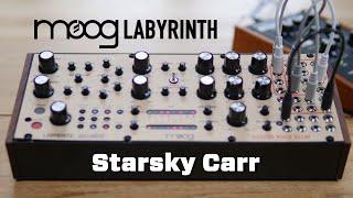 Moog Labyrinth // 3 Minute Manual + Full Review & Demo