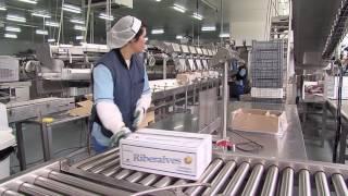 JOSMAR GROUP -  PRESENTATION