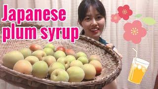 How to make plum syrup