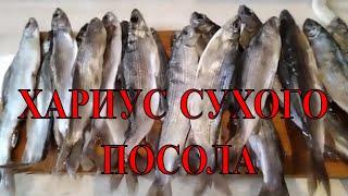 ВКУСНЕЙШИЙ ПОСОЛ ХАРИУСА - ПАЛЬЧИКИ ОБЛИЖЕШЬ ...