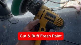 Budget Friendly Cut & Buff on Alexseal Paint