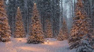 Celtic Christmas Carols, Soft Holiday Christmas Music "Hearth and Home" by Tim Janis