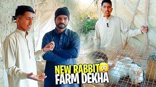 See New Rabbit Farm And also see Good Good Rabbits