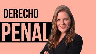 DERECHO PENAL CHILE  1 Parte General Concepto, estructura. LO QUE NECESITAS para empezar  (ENTRA)