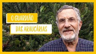 Flávio Zanette, o pesquisador que promove o futuro das Araucárias