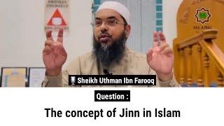 The concept of Jinn in Islam | Sheikh Uthman Ibn Farooq