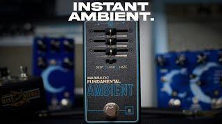 Walrus Audio Fundamental AMBIENT Reverb | A new standard in affordable ambient reverbs?