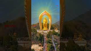 南无阿弥陀佛Ná mó ēmítuófó  Gautam Buddha  Mahatma Buddha  namo Amitabha Buddha  {{{FizaRay}}}