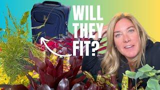 I brought all these plants home on a plane! Here's how ️ 