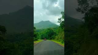 Nature vibes only! #travel #shorts #nature #lushgreenery
