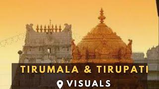 Tirumala and Tirupati visuals #ttd #tirupathi #tirupati #tirumala #ttdspecialstory #ttd_news #video