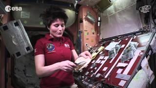 Cooking in space: whole red rice and turmeric chicken