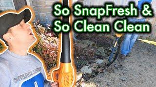Is winter lawn care really worth it? // Leaf Cleanup With the SnapFresh 20V Blower // Product Review