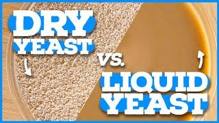 DRY YEAST VS LIQUID YEAST - Home Brewing Beginner's Intro to Yeast