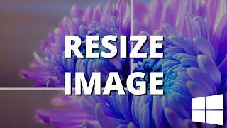 How to resize an image in Windows 11 (step by step)