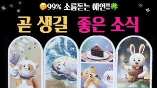 [타로]  예상치 못한 기쁜 소식!설레이는 소식 도착