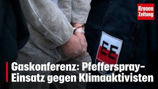 Pfefferspray-Einsatz gegen Klimaaktivisten | krone.tv NEWS