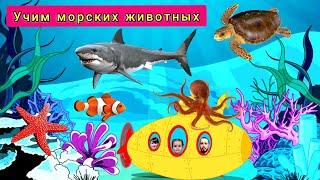 Морские животные для детей.Учим морских животных. Мультик морские животные.Морские  животные.