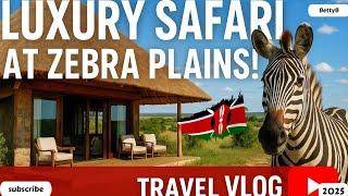 Inside Kenya's Hidden Safari Gem: Zebra Plains Mara Camp Experience!Maasai Mara's Best-Kept Secret