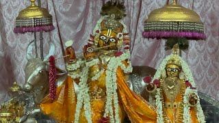 Shri Govind Dev Ji ki Gwal Jhanki श्री गोविन्द देव जी की ग्वाल आरती #17_June_2025 #tuesday #love