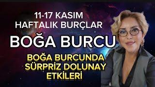 BOĞA BURCU / 11-17 KASIM HAFTALIK BURÇ YORUMU / BOĞA BURCUNDA SÜRPRİZLİ  DOLUNAY ETKİLERİ