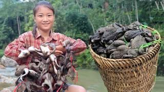 Vietnamese girl goes alone into the forest to catch frogs and fish traps to make a living