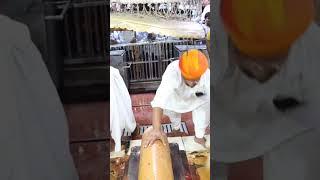ramdevra ranuja #ramdevpir