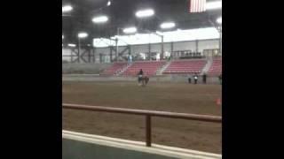 Elle~Equitation