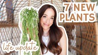 HUGE plant haul with a little life update🫶 | unboxing 7 new plants