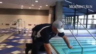 Randy Delong cleaning pool at Central Michigan University.