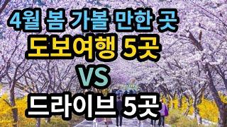 봄 여행지 가볼만한 곳 4월에 봄 여행 가볼 만한 곳 5곳 선정 설레는 드라이브 여행지 5곳