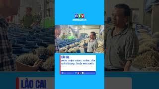 Lào Cai: Phát hiện hàng trăm tấn giá đỗ được ủ bởi hóa chất