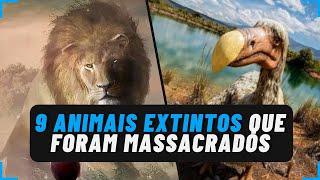 9 ANIMAIS EXTINTOS que foram MASSACRADOS pelo homem