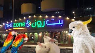 PET ZONE DUBAI || Exotics Birds and Animals || Cockatoo || Thazz Vlog