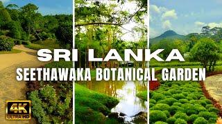 [4K] Walking tour of SEETHAWAKA BOTANICAL GARDEN in Sri Lanka - Travel Sri Lanka 2023