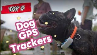 Top 5 Dog GPS Trackers for 2025