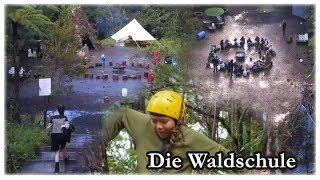 Die Waldschule in Neuseeland - Alternative Schulen - Fundstück von Kika