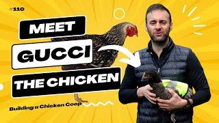 Meet Gucci the Chicken | Building a Chicken Coop.Joe Doyle Entrepreneur