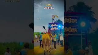 लवकरच बैलपोळा 2024/#बैलपोळास्टेटस #बैलपोळा#bailpola #miekgawathi
