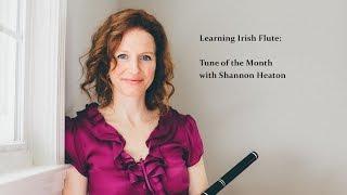 Top of Maol [Polka] - Tune of the Month with Shannon Heaton