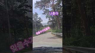 #나훈아 #잊을수있을까