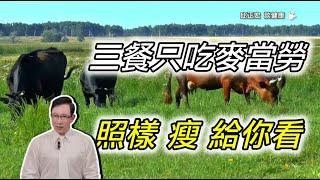 三餐只吃麥當勞、照樣瘦給你看｜60歲邱正宏醫師跟你說【邱正宏談健康】【減肥瘦身】