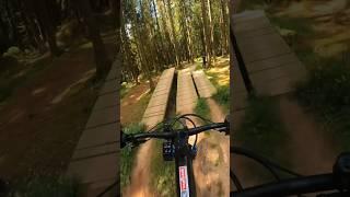 MTB Übungsparcour | Bikepark Beerfelden #mtb #bikepark #cube  #mountainbike #jumpsession #shorts