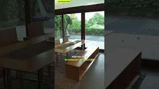  UNBELIVABLE! The house has panoramic windows instead of walls!