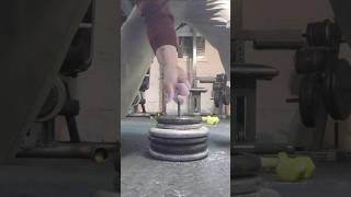 50lb really hard pinch training #gripstrength #pinch