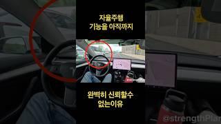 테슬라 자율주행이 아직 못하는것